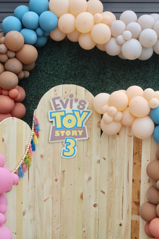 Toy Story 3 Party - My Daughter's 3rd Birthday